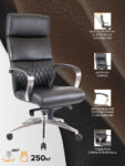 president-chernyj1-scaled-1 (1)